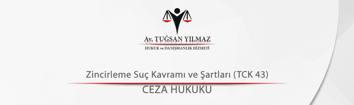 Ceza Hukuku: Eylem ve Yorum Yönleri Ceza Hukuku: Eylem ve Yorum Yönleri